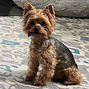 Meet your Posher, Lorna